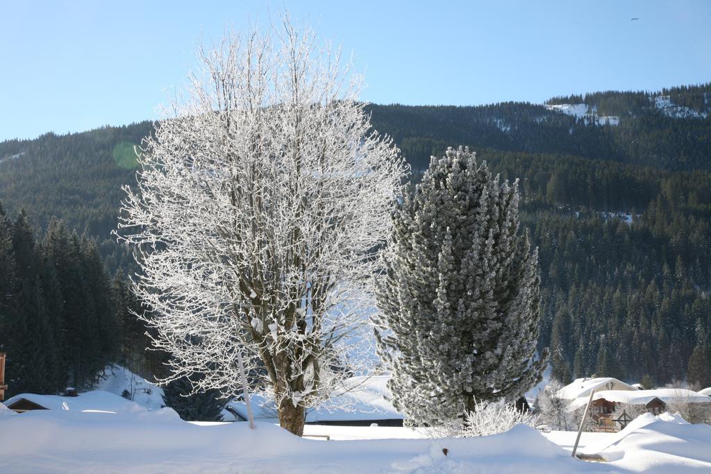 Zur Lieben Sonne Lägenhet Filzmoos Rum bild