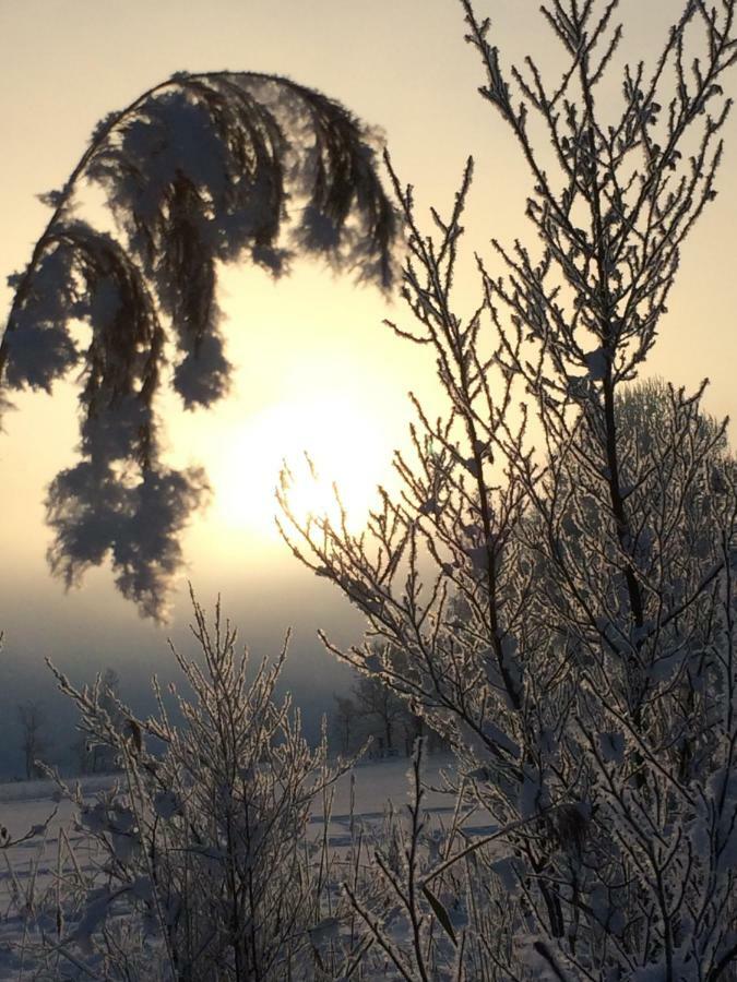 Zur Lieben Sonne Lägenhet Filzmoos Exteriör bild