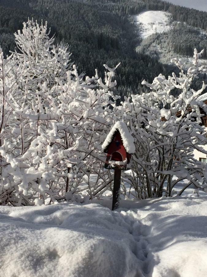 Zur Lieben Sonne Lägenhet Filzmoos Exteriör bild